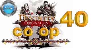 Divinity Original Sin Co-op Walkthrough part 40 Grumble