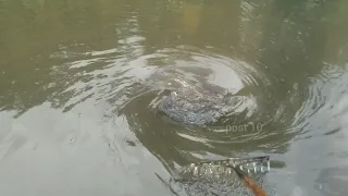 (So We Found A Flood) Draining Road And Making Whirlpools