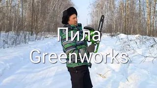 Аккумуляторная цепная пила GreenWorks G40CS30К2, проверка зимой!