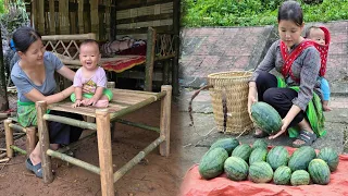 17-year-old single mother: Making a beautiful bamboo tables and chairs, Harvesting tiny watermelons.