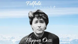 Felfelé zuhanás - Mi okozta Flipper Öcsi tragédiáját? (Podpad.hu)