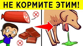 Еда, которая может убить вашу собаку