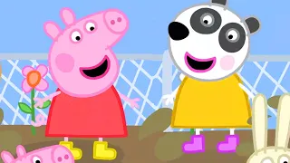 Peppa Pig Full Episodes | Season 8 | Compilation 12 | Kids Video