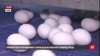 ТМ "Квочка" Агрохолдинга "Авангард" в сюжете 24 канала о качестве яиц
