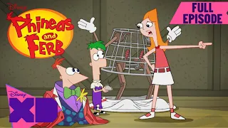 Out of Toon | S1 E26 | Full Episode | Phineas and Ferb | @disneyxd