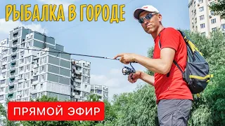 ГОРОДСКАЯ РЫБАЛКА на спиннинг. Стритфишинг и его особенности. Прямой эфир.