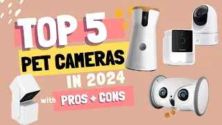 Top 5 Pet Cameras in 2024! (with Pros + Cons)