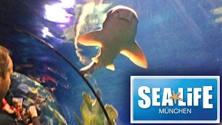 SEA LIFE München - Подводный мир в Мюнхене