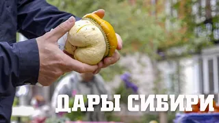 Я такого никогда не видел!!! Что продают бабульки на рынке в Красноярске!!!