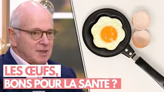 Les œufs, bons pour la santé ? - Allo Docteurs