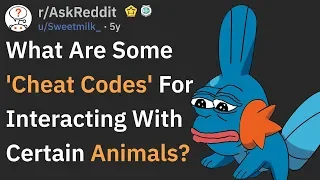 Cheat Codes For Interacting With Animals (r/AskReddit)