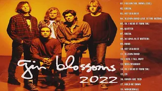 Gin Blossoms Top Hits All Time- Gin Blossoms Greatest Hits Full Album