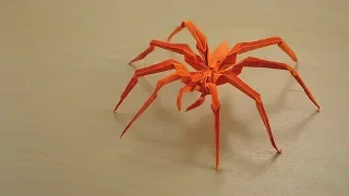 ORIGAMI SPIDER