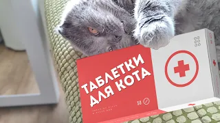 Как давать таблетки коту ПРАВИЛЬНО