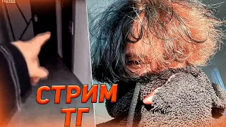 Курсед уехал из Киева с Акумой | Общение на Стриме в ТГ #11