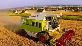 Żniwa 2016 - Pszenica / Claas Dominator 88s !