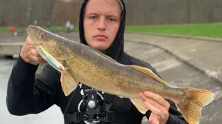 Bass & Walleye fishing at FINGER LAKES!! (Suprise catch!!)