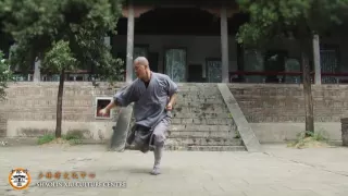 Qi Xing Quan - Shifu Yan Chong