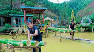 Technique growing vegetables in bamboo tubes, Building free farm. ep.2