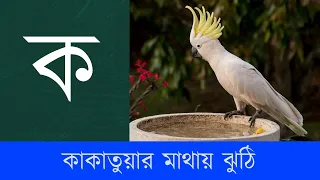 ক খ গ ঘ – বাংলা ব্যাঞ্জনবর্ণ - Mammar Adarshalipi