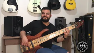 Planeta de Cores - Forrozão Tropykalia / Bass Cover Renato Ribeiro