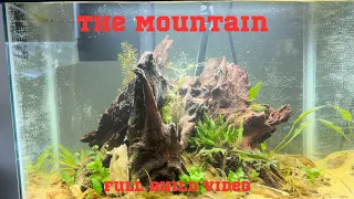 The Mountain: How to Set Up a Hardscape Heavy Aquarium