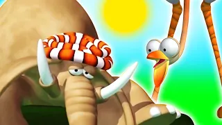 Gazoon - Kepala di Awan (Head in the Clouds) |  Kartun Lucu Untuk Anak Anak | ToBo Kids TV Bahasa