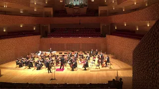 L.Mozart - Concerto in D Major