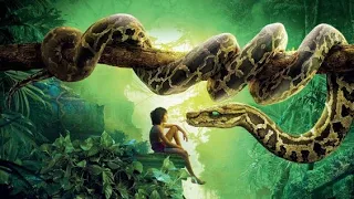 ملخص الجزء الاول والتاني من فيلم mowgli The Jungle Book