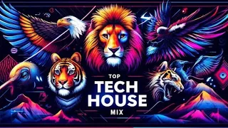 Musical Trip Top Tech House and House DJ Mix 2024 | DJ BR&NU