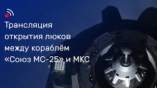 Трансляция открытия люков между кораблём «Союз МС-25» и МКС