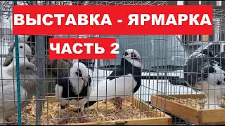 Выставка-ярмарка голубей и декоративных птиц (13.03.2021 г.Кривой Рог Украина) ЧАСТЬ 2