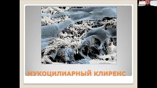 VI научно-практическая конференция «Актуальные вопросы клинической терапии» - 2020-10-02