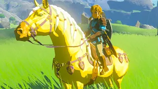 Zelda's Golden Horse Quest - Zelda Tears of the Kingdom