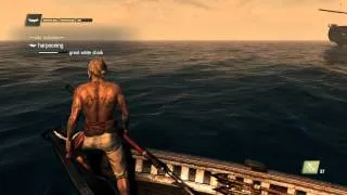 Fishing Killer Shark Assassin's Creed IV  Black Flag Hunting