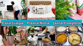 CASA ORGANIZADA | SALA DECORADA COM PLANTAS | COMO ARRUMO A MINHA CAMA | JANTAR SIMPLES E GOSTOSO ❤