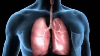 AUSCULTACIÓN PULMONAR