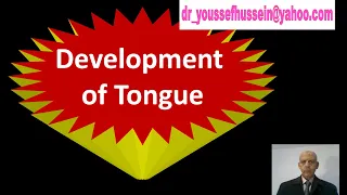 Development of tongue | Copula of His |congenital anomalies| Tongue tie| Anklyoglossa | Bifid tongue