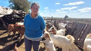 CAMPESINA muestra la FORTUNA de vivir en un PARAISO RURAL /Charata- Chaco