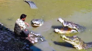 15 schockierende Tiermomente mit der Kamera eingefangen