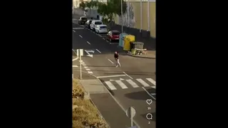 Police shoot a dog in the south of Tenerife