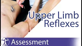 Upper Limb Deep Tendon Reflexes | Peripheral Neurological Examination