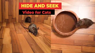 Cat TV - Mice in The Jerry Mouse Hole 🐭 Hide and Seek Video for Cats 🐭 8 HOURS (with Nature Sounds)