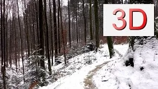 3D Video 4K: JANUARY FOREST WALK (4K Resolution)