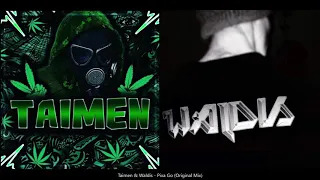 Taimen & Waldis - Pixa Go! (Original Mix)