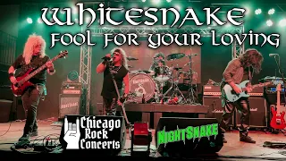 WhiteSnake Fool For Your Loving Live Cover by Nightsnake Tribute Band Bourbon St Chicago 04-09-21 4K