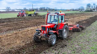 Trágyaszórás + tárcsázás 2024  | 2x MTZ 82 + Bolgar | CAT TH 357D | Spreading Manure