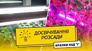 Світло для розсади: коли, скільки, чим та як досвічувати