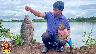 Daily life Grandpa harvesting vegetables - cooking and taking care of YoYo Jr |Full version