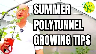 Summer Polytunnel Gardening Tips 2024: Boost Your Harvest || What to grow in a polytunnel in summer